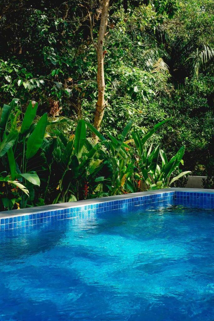 Shared pool access for all our villa guests, perfect for a refreshing break!