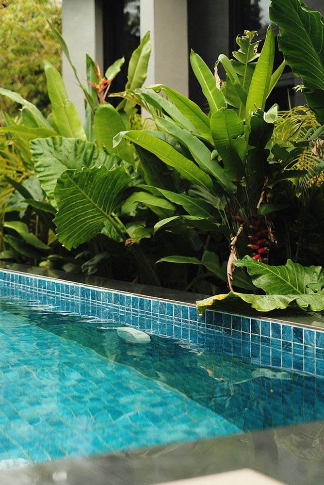 Shared pool access for all our villa guests, perfect for a refreshing break!