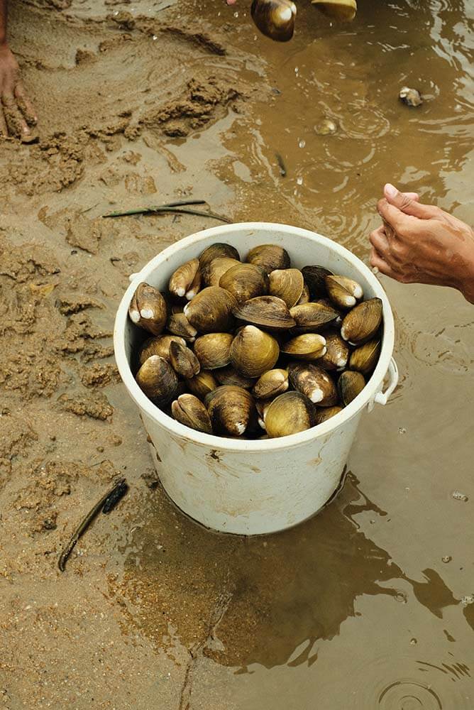 Locak Fish Setiu Wetlands Travel Guide & Review: Terengganu’s Underrated Natural ...