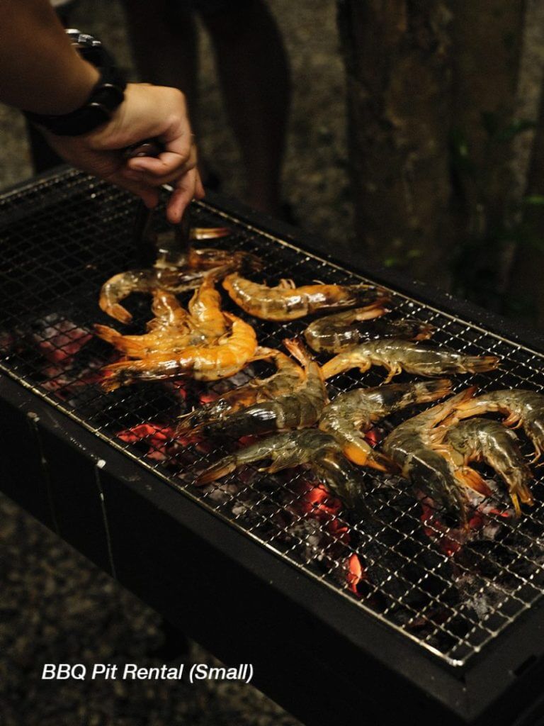 BBQ-06