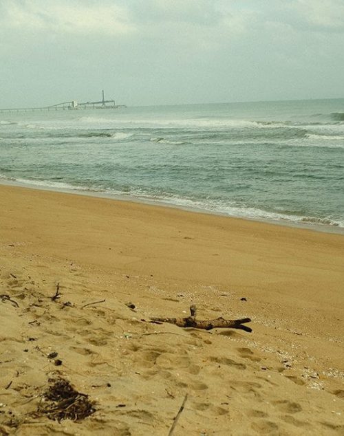 Beach Clean Up - 43