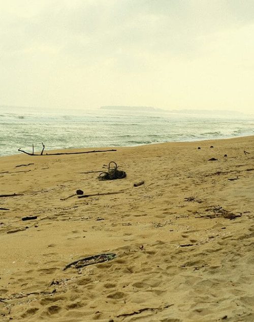 Beach Clean Up - 45