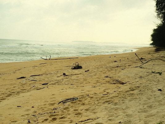 Beach Clean Up - 45